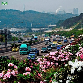 2016�~�K�`��D��q����