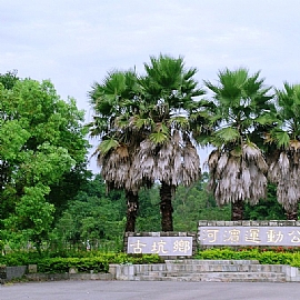 �{�Ѷ��L���j�|�m