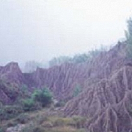 �P�_�X�ݼ֪��G�m