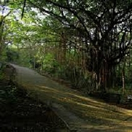 �L��ϡX�Q���B��س��B�_�̬��L��T��