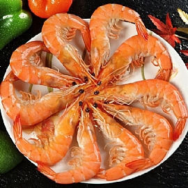 ���ѥ[�Ĭ����T�j����