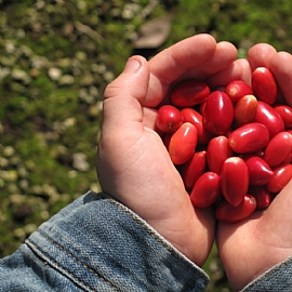 �����G�O�ƻ�?���ڭ̨Ӵ��}�����G�������I