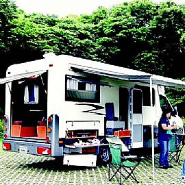 �S�種��ˤ���