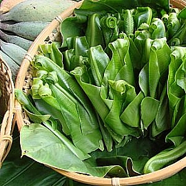 �sĬ�Ʋz����-�F�H�ЧA��򪣤sĬ�I