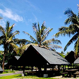 �x�F�p���h�S��Ϥ���