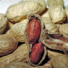 ���L�_��u����~�_����