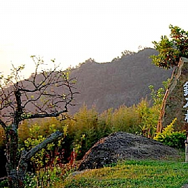 �]���S��ϱ���-�p�۪L�S���